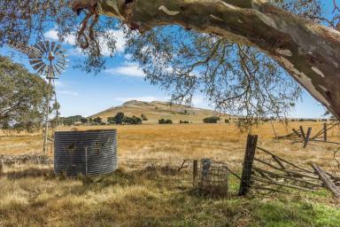 Mixed Farming Sold - VIC - Chepstowe - 3351 - 187.9Ha (approx. 464 acres); Unimproved farmland; 4 Titles to be Auctioned as a whole.  (Image 2)