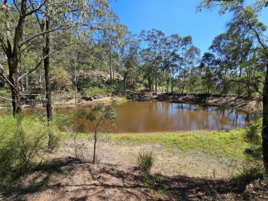 Residential Block For Sale - nsw - Scone - 2337 - 32 Acres with Dwelling Entitlement  (Image 2)