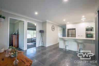 House For Sale - NSW - Glen Innes - 2370 - Modern Three Bedroom Home on 1 Acre  (Image 2)
