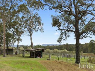 Lifestyle Sold - NSW - North Rothbury - 2335 - WINE COUNTRY PLAYGROUND  (Image 2)