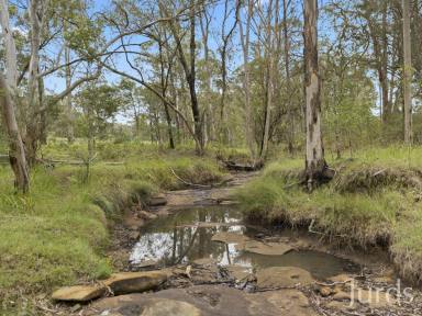 Lifestyle Sold - NSW - North Rothbury - 2335 - WINE COUNTRY PLAYGROUND  (Image 2)