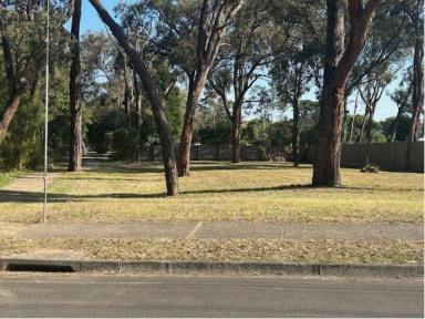 Residential Block Sold - VIC - Heathmont - 3135 - Residential Land for Sale in Excellent Location  (Image 2)