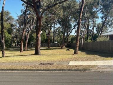 Residential Block For Sale - VIC - Heathmont - 3135 - Residential Land for Sale in Excellent Location  (Image 2)