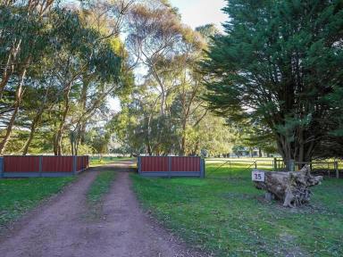 Acreage/Semi-rural For Sale - VIC - Nareen - 3315 - BEAUTIFUL LIFESTYLE PROPERTY WITH 2 DWELLINGS SET ON 9 ACRES  (Image 2)