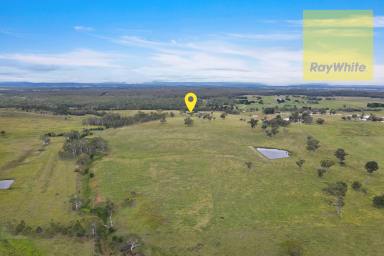Lifestyle Sold - NSW - Goulburn - 2580 - Great Country, Expansive Views!  (Image 2)