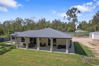 House For Sale - QLD - Glenwood - 4570 - THE MOST STANDOUT PROPERTY IN GLENWOOD!  (Image 2)
