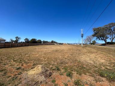 Residential Block For Sale - TAS - Deloraine - 7304 - Ready To Build  (Image 2)