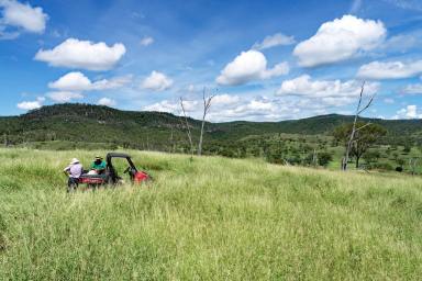 Other (Rural) Auction - QLD - Dumgree - 4715 - Central Queensland Grazing Enterprise  (Image 2)