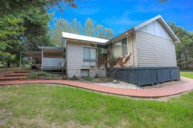 Acreage/Semi-rural For Sale - NSW - Lyndhurst - 2797 - BEAUTIFUL LIFESYLE PROPERTY WITH CHARMING 3BR HOME SET ON 3.5 ACRES  (Image 2)