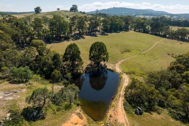 Livestock For Sale - VIC - Strathbogie - 3666 - "Tall Timbers" – Extensive Seven Creeks Frontage, 3 Certificates Of Title, Endless Opportunities  (Image 2)