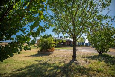 Mixed Farming For Sale - VIC - Neilborough - 3570 - RURAL PARADISE  (Image 2)