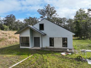 Acreage/Semi-rural For Sale - NSW - Coolongolook - 2423 - Unique Investment Opportunity: Prime 3.52-Hectare Parcel with Dual Pacific Highway Access  (Image 2)