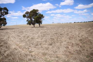 Other (Rural) For Sale - SA - Naracoorte - 5271 - FAIRHOLME - Reliable and Versatile  (Image 2)