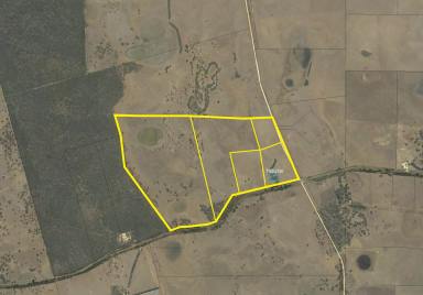 Other (Rural) For Sale - SA - Naracoorte - 5271 - FAIRHOLME - Reliable and Versatile  (Image 2)