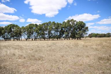 Other (Rural) For Sale - SA - Naracoorte - 5271 - FAIRHOLME - Reliable and Versatile  (Image 2)