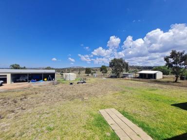 Lifestyle For Sale - nsw - Cassilis - 2329 - Ideal Rural Lifestyle  (Image 2)
