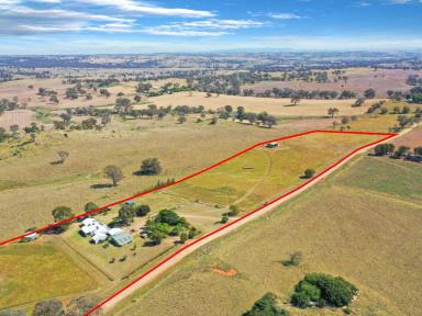 House For Sale - NSW - Young - 2594 - (Open Home This  Saturday At 10am)  Architecturally Designed  Home on Acreage Only 7 Minutes* To Town  (Image 2)