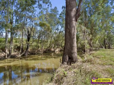 Lifestyle For Sale - QLD - Glendale - 4711 - LOTS OF SHEDS, QUALITY HOUSE PLUS CARETAKER UNIT, PLUS 165 ACRES ON PERMANENT CREEK  (Image 2)