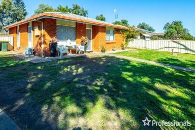 House For Lease - NSW - West Tamworth - 2340 - 11 Matheson Street  (Image 2)