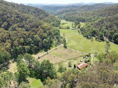 Acreage/Semi-rural Sold - NSW - Fernances Crossing - 2325 - Modern Country Home on 5 Picturesque Acres  (Image 2)
