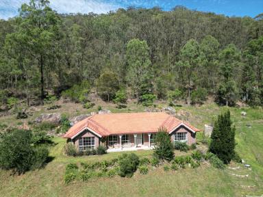 Acreage/Semi-rural Sold - NSW - Fernances Crossing - 2325 - Modern Country Home on 5 Picturesque Acres  (Image 2)