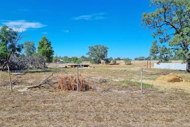 Residential Block For Sale - NSW - Brewarrina - 2839 - Want to Build?  (Image 2)