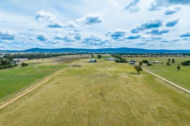 Mixed Farming For Sale - NSW - Cowra - 2794 - First Class 6,000HD lamb feedlot Cowra (JUST REDUCED BY $100,000!)  (Image 2)