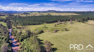 Lifestyle Sold - NSW - Edenville - 2474 - 44 Creekside Acres  (Image 2)