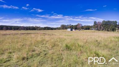 Lifestyle Sold - NSW - Edenville - 2474 - 44 Creekside Acres  (Image 2)