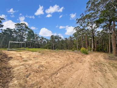 Lifestyle Sold - NSW - Cedar Creek - 2325 - Huge Bush Land Oasis for the Adventurous  (Image 2)