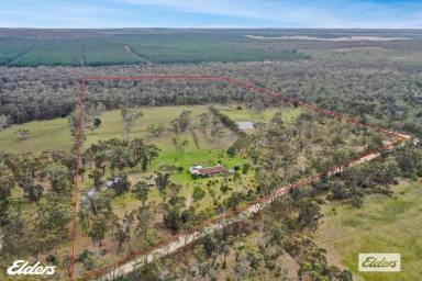 Lifestyle For Sale - VIC - Stradbroke - 3851 - Escape to the country  (Image 2)