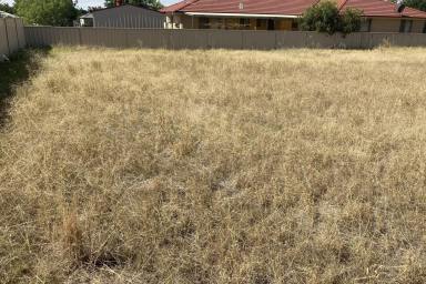 Residential Block Sold - NSW - Narrandera - 2700 - Ready to build your dream home*!  (Image 2)