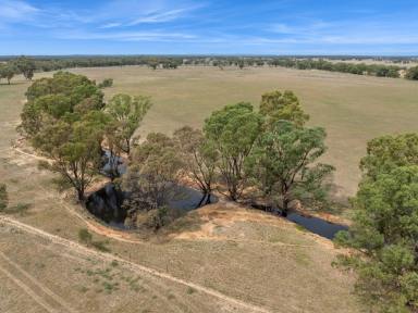 Residential Block For Sale - VIC - Woodvale - 3556 - "Harritables" - 176 acres renowned Woodvale district  (Image 2)