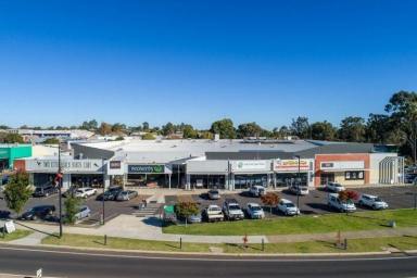 Retail For Lease - WA - Manjimup - 6258 - RARE LEASING OPPORTUNITY  (Image 2)