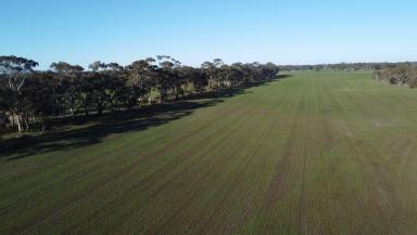 Other (Rural) For Sale - VIC - Karnak - 3401 - Cropping, Grazing & Lifestyle  (Image 2)