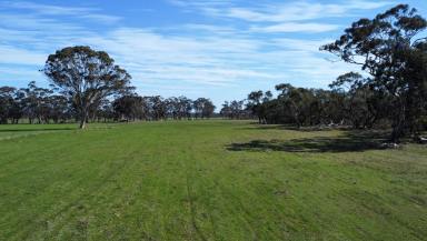 Other (Rural) Auction - VIC - Karnak - 3401 - ONLINE AUCTION - 14TH NOVEMBER $400,000 to $440,000  (Image 2)