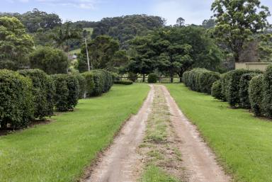 House Sold - NSW - Berry - 2535 - Between Berry and the Beach  (Image 2)