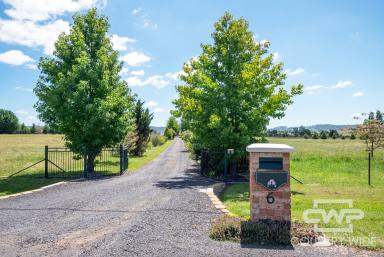 Acreage/Semi-rural Sold - NSW - Glen Innes - 2370 - Dream Acreage  (Image 2)