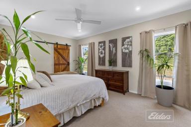 House Sold - QLD - Pie Creek - 4570 - A HIDDEN TREASURE AWAITS  (Image 2)