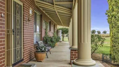 House Sold - VIC - Echuca - 3564 - Private, peaceful lifestyle awaits  (Image 2)