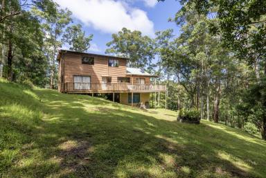 Acreage/Semi-rural For Sale - NSW - Broughton Vale - 2535 - "Willandra" - A Serene Retreat!  (Image 2)