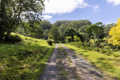 Acreage/Semi-rural For Sale - NSW - Broughton Vale - 2535 - "Willandra" - A Serene Retreat!  (Image 2)