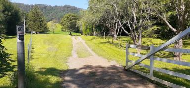 Acreage/Semi-rural Auction - NSW - Broughton Vale - 2535 - "Willandra" - A Serene Retreat!  (Image 2)