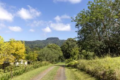 Acreage/Semi-rural For Sale - NSW - Broughton Vale - 2535 - "Willandra" - A Serene Retreat!  (Image 2)