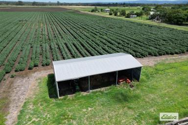 Residential Block For Sale - QLD - Forest Hill - 4342 - Build, Farm or Land Bank the choice is yours!  (Image 2)