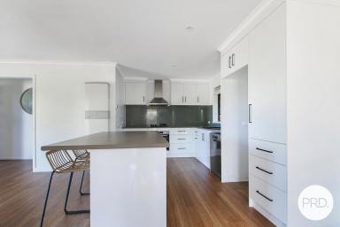 House For Lease - NSW - Lavington - 2641 - LOVELY HOME ON QUICKS HILL!  (Image 2)