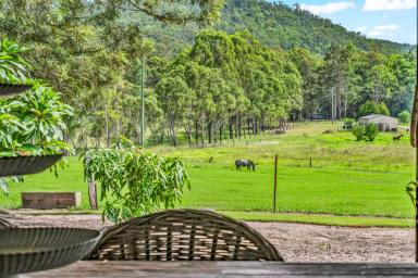 House Sold - NSW - Clarence Town - 2321 - Acreage Living At Its Absolute Finest  (Image 2)