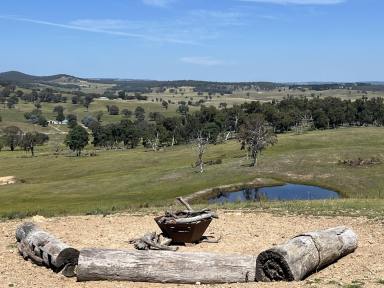 Livestock Sold - NSW - Binda - 2583 - On Top Of The World, 46 Acres, Beautiful Valley & Mountain Views, RU2 , Deep Creek, Dams, Grazing and Recreational Value,  Ready For You & The Family.  (Image 2)