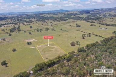 Residential Block For Sale - NSW - Tenterfield - 2372 - 'Allview' - Say No More.....  (Image 2)