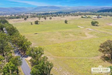 Residential Block For Sale - NSW - Tenterfield - 2372 - 'Allview' - Say No More.....  (Image 2)